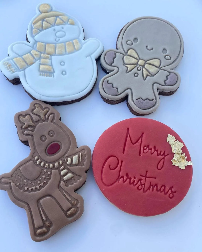 Australian Cookie Cutters Cookie Cutters Christmas Characters Set of 4 Cookie Cutter and Embosser Stamp